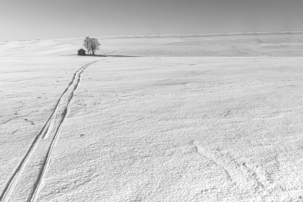 Platz 11 Anton Kienle